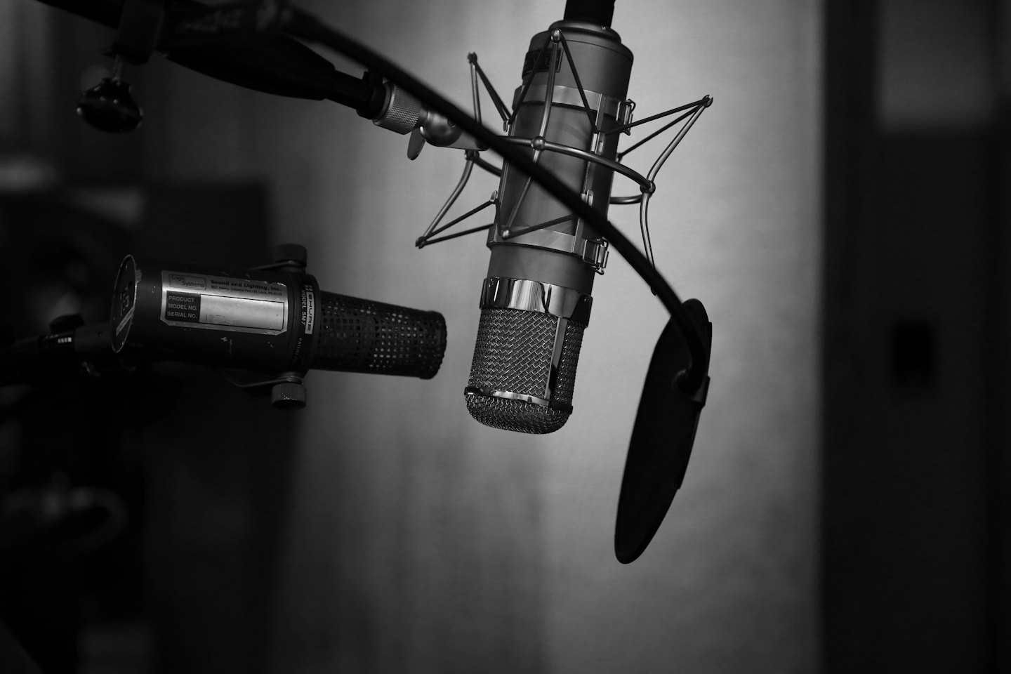 Two professional microphones set up for recording audio.